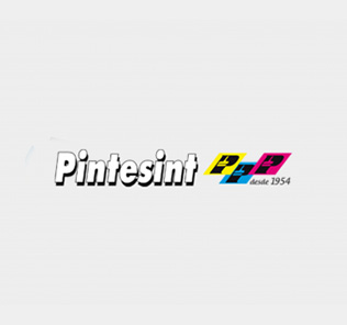 Logo Pintesint
