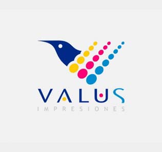 Logo Valus